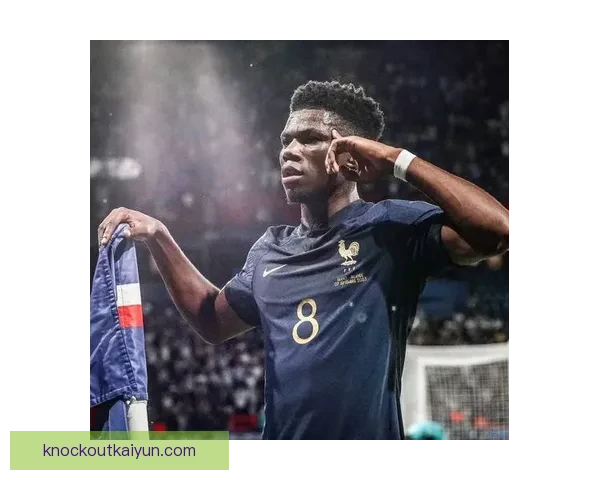 楚阿梅尼职业目标分析：持续提升状态，争取在顶级联赛中保持竞争力。